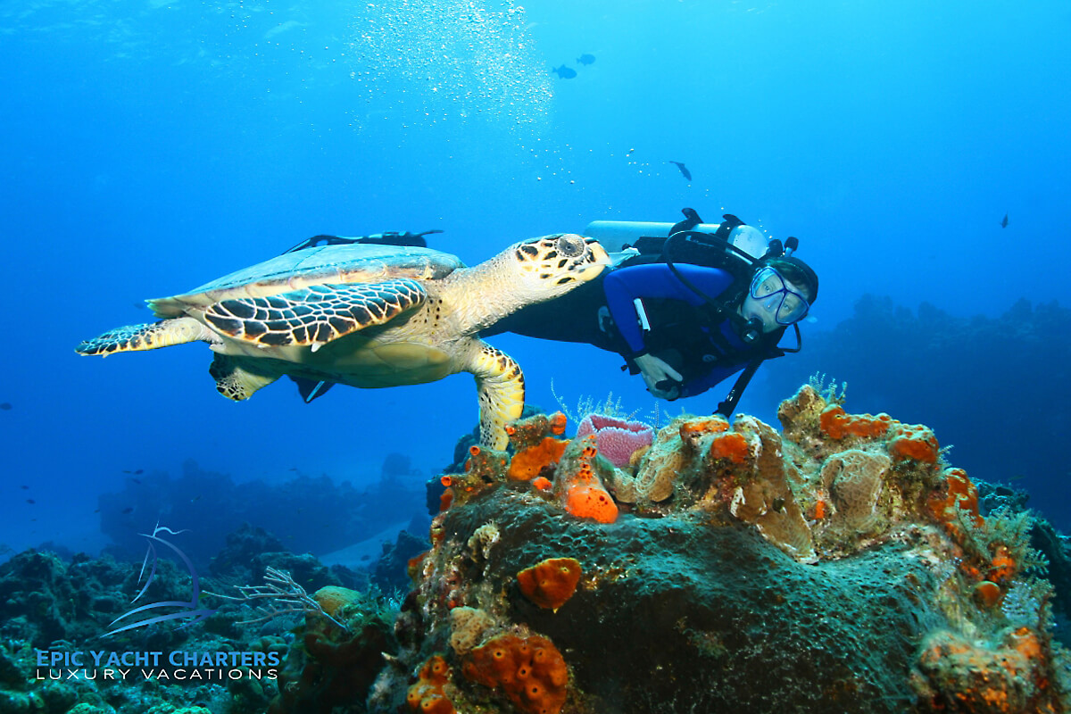 Epic Yacht Charters - Scuba Diving