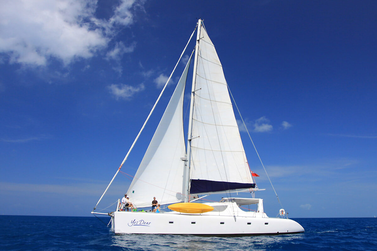 Dynamic Charters BVI - Yes Dear