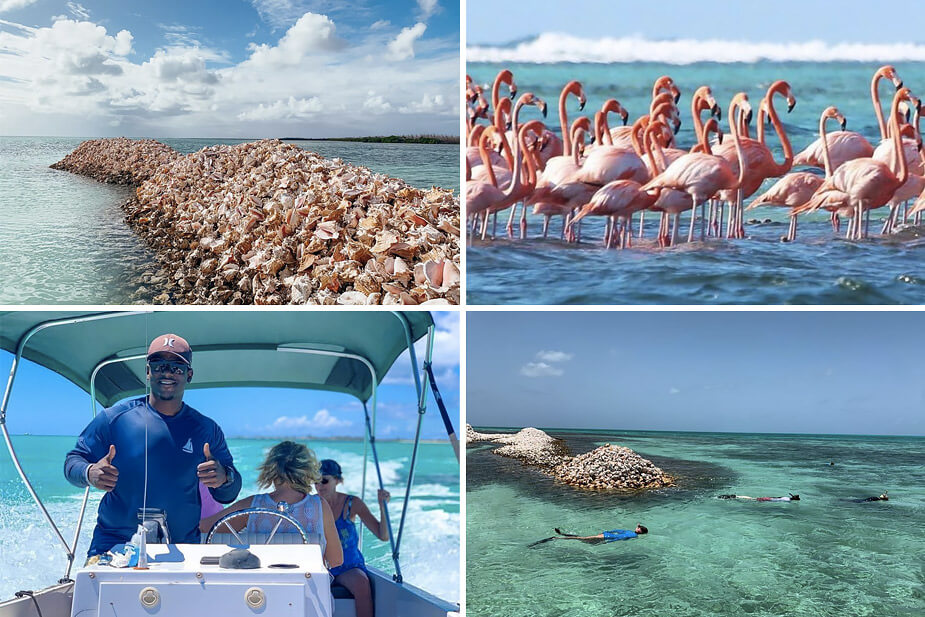 Kelly's Land & Sea tours Anegada